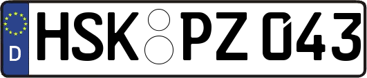 HSK-PZ043