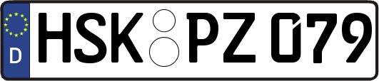 HSK-PZ079