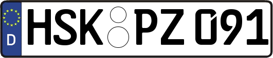 HSK-PZ091