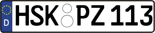 HSK-PZ113
