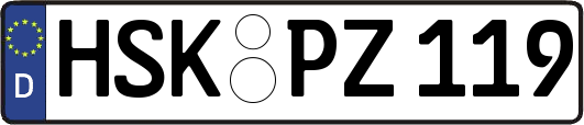 HSK-PZ119