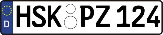 HSK-PZ124