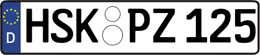 HSK-PZ125