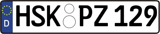 HSK-PZ129