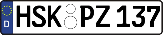 HSK-PZ137