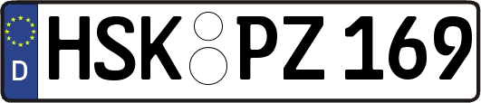 HSK-PZ169