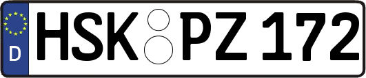HSK-PZ172