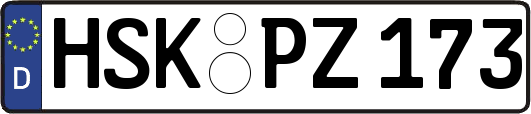 HSK-PZ173