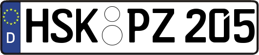 HSK-PZ205