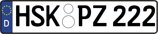 HSK-PZ222