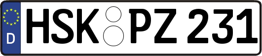 HSK-PZ231