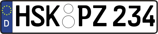 HSK-PZ234