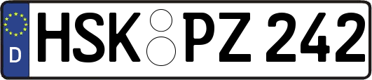 HSK-PZ242