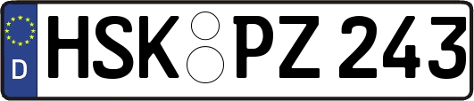 HSK-PZ243