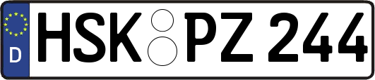 HSK-PZ244