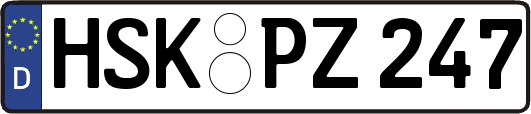 HSK-PZ247