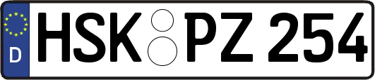 HSK-PZ254