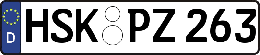 HSK-PZ263