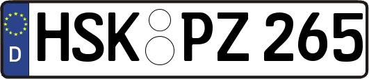 HSK-PZ265