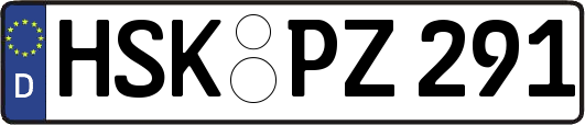 HSK-PZ291
