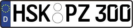 HSK-PZ300