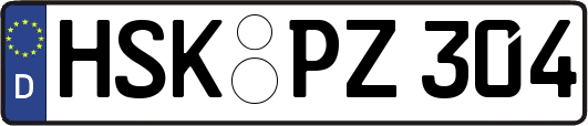 HSK-PZ304