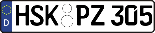 HSK-PZ305