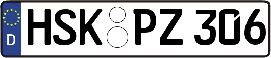HSK-PZ306