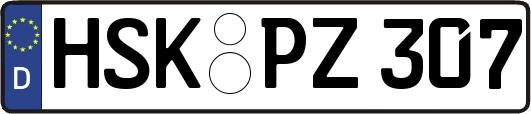 HSK-PZ307