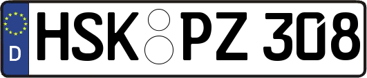 HSK-PZ308
