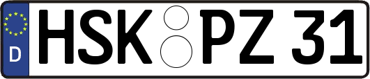 HSK-PZ31