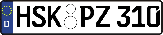 HSK-PZ310