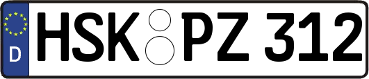 HSK-PZ312