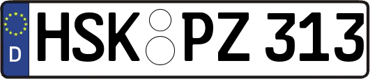 HSK-PZ313