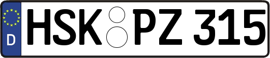 HSK-PZ315