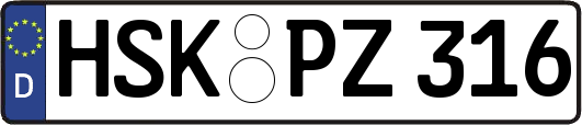 HSK-PZ316