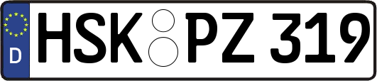 HSK-PZ319