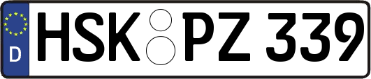 HSK-PZ339