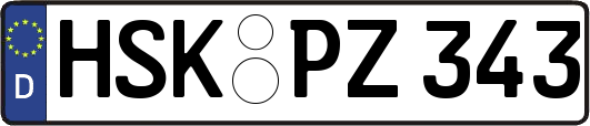 HSK-PZ343