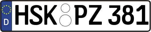 HSK-PZ381
