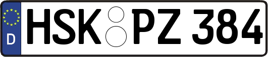 HSK-PZ384
