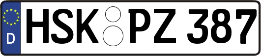 HSK-PZ387