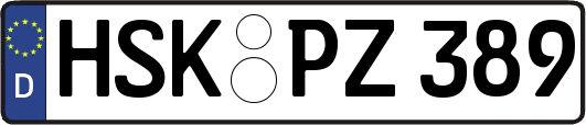 HSK-PZ389