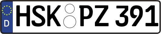 HSK-PZ391