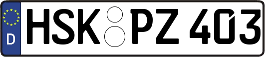 HSK-PZ403
