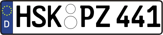 HSK-PZ441