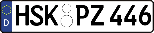 HSK-PZ446