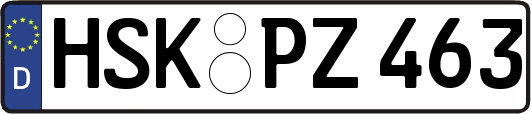 HSK-PZ463