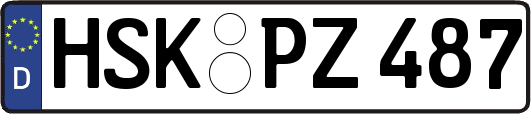 HSK-PZ487
