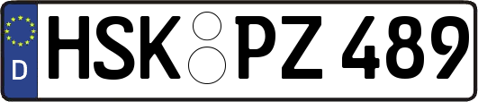 HSK-PZ489